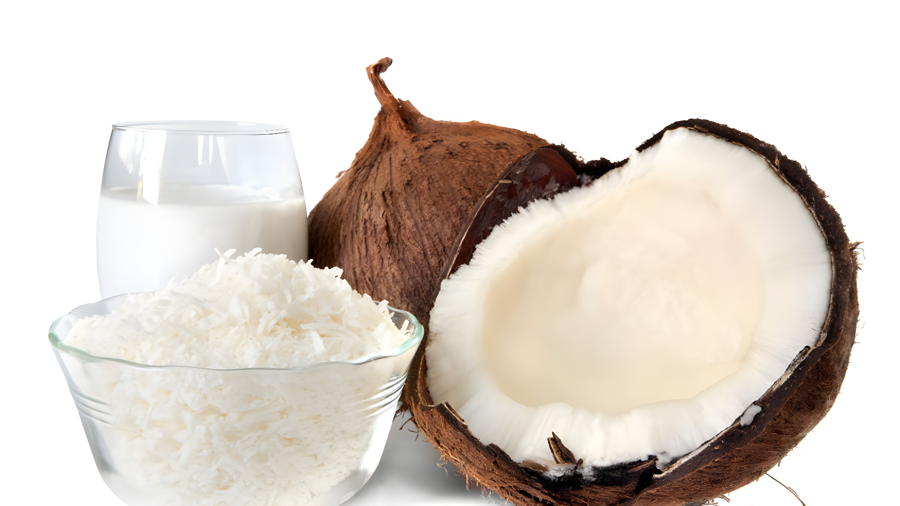 Bisnis Kelapa Parut dan Santan