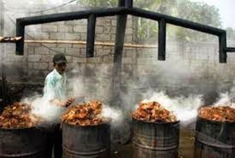 Asap Cair Dari Tempurung Kelapa