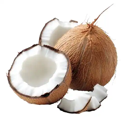 toko mesin kelapa